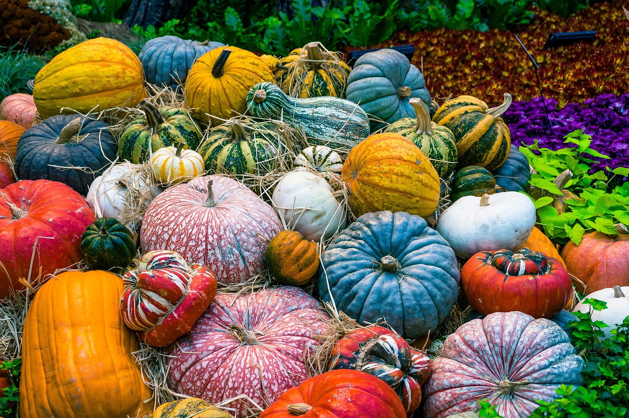 Heldere keuken met zomerse fruitaccenten. Heldere keuken met zomerse fruitaccenten.