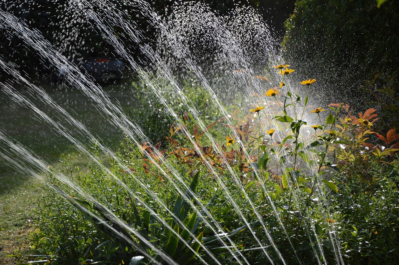 Regenton verzamelt regenwater naast bloeiende planten. Regenton verzamelt regenwater naast bloeiende planten.