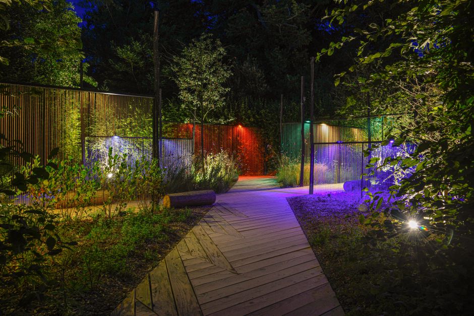 Slimme LED-verlichting siert geplaveid tuinpad. Slimme LED-verlichting siert geplaveid tuinpad.