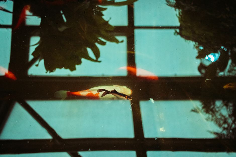 Rustgevend zen aquariumfotobehang met steenstructuur.